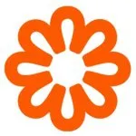 Nuu Muu discount code